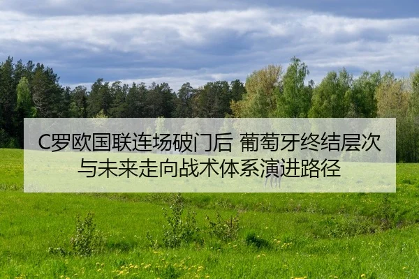 luo-ou-guo-lian-lian-chang-po-men-hou-pu-tao-ya-zhong-jie-ceng-ci-yu-wei-lai-zou-xiang-zhan-shu-ti-xi-yan-jin-lu-jing-2-677.jpg