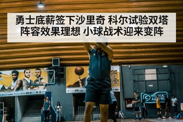 勇士底薪签下沙里奇 科尔试验双塔阵容效果理想 小球战术迎来变阵