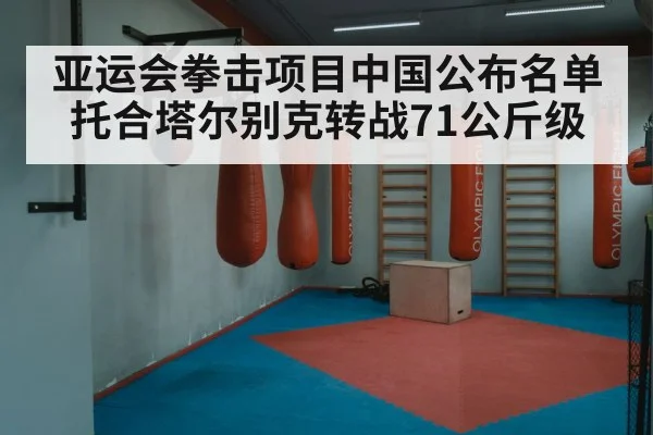 亚运会拳击项目中国公布名单 托合塔尔别克转战71公斤级